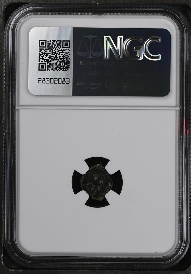 ZEUGITANA, CARTHAGE c.237 - 209 BC AE11 CARTHAGO NOVA Ch F NGC ANCIENTS - NGC OTHER COINS - Cambridgeshire Coins