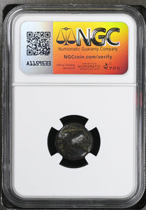 ZEUGITANA, CARTHAGE c.400 - 350 BC AE17 F NGC ANCIENTS - NGC OTHER COINS - Cambridgeshire Coins