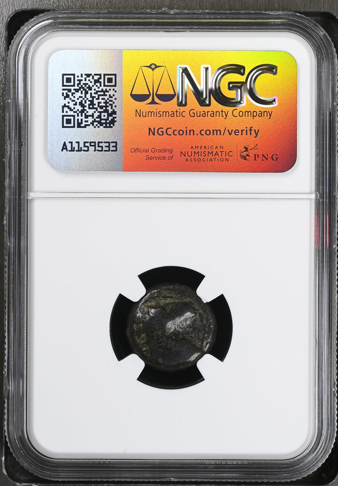 ZEUGITANA, CARTHAGE c.400 - 350 BC AE17 F NGC ANCIENTS - NGC OTHER COINS - Cambridgeshire Coins