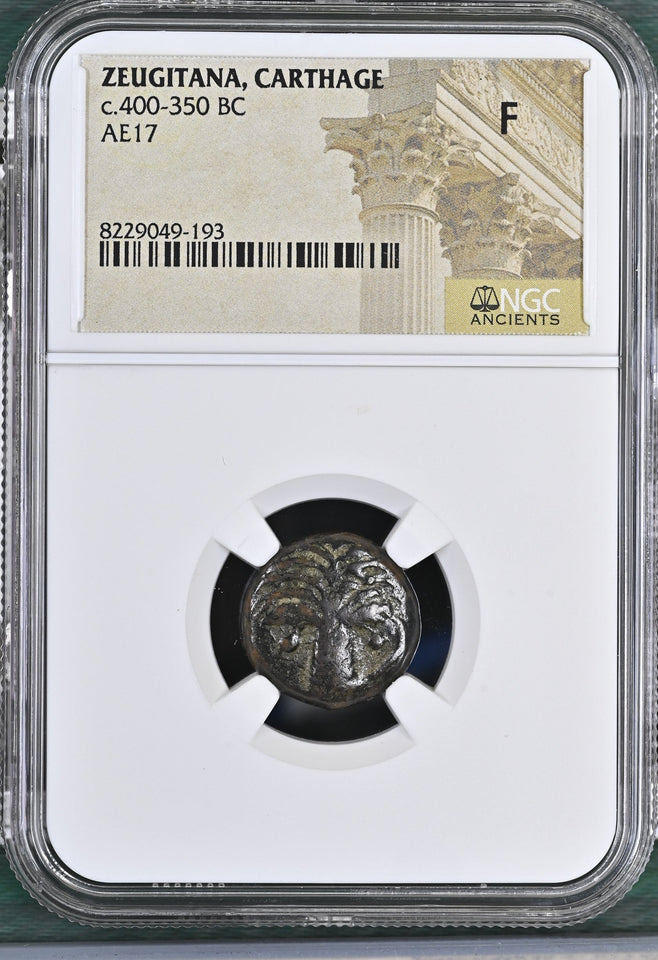 ZEUGITANA, CARTHAGE c.400 - 350 BC AE17 F NGC ANCIENTS - NGC OTHER COINS - Cambridgeshire Coins