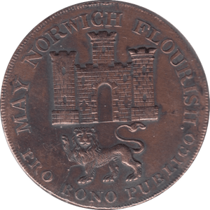 1793 NORWICH HALFPENNY TOKEN REF 390 - HALFPENNY TOKEN - Cambridgeshire Coins