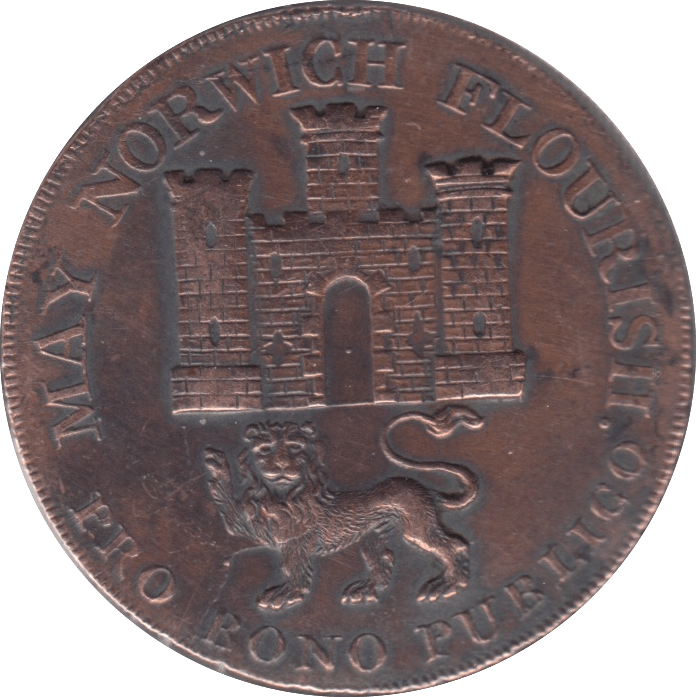 1793 NORWICH HALFPENNY TOKEN REF 390 - HALFPENNY TOKEN - Cambridgeshire Coins