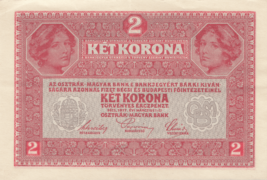 1919 2 KRONE BANKNOTE AUSTRIA REF 1162 - World Banknotes - Cambridgeshire Coins