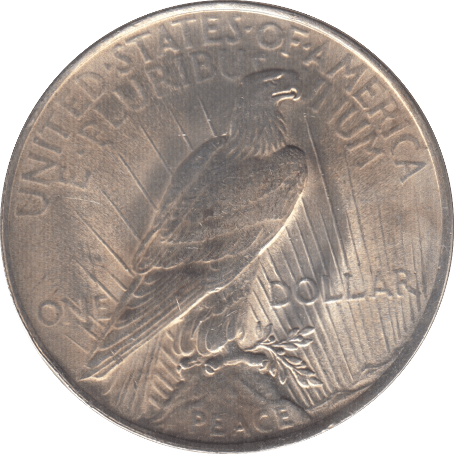 1924 USA SILVER ONE DOLLAR - WORLD SILVER COINS - Cambridgeshire Coins