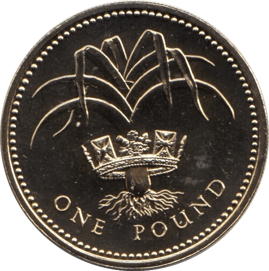 1985 ONE POUND £1 WELSH LEEK BRILLIANT UNCIRCULATED BU - £1 BU - Cambridgeshire Coins