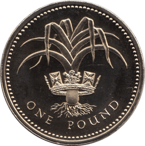 1985 ONE POUND PROOF £1 WELSH LEEK - £1 Proof - Cambridgeshire Coins