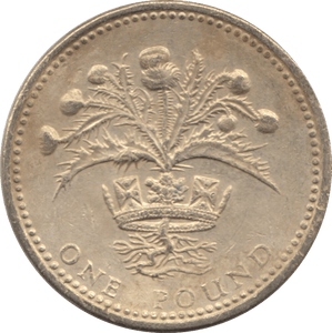 1989 CIRCULATED £1 Shottish Thistle - £1 CIRCULATED - Cambridgeshire Coins