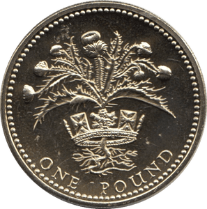 1989 ONE POUND £1 SCOTTISH THISTLE BRILLIANT UNCIRCULATED BU - £1 BU - Cambridgeshire Coins