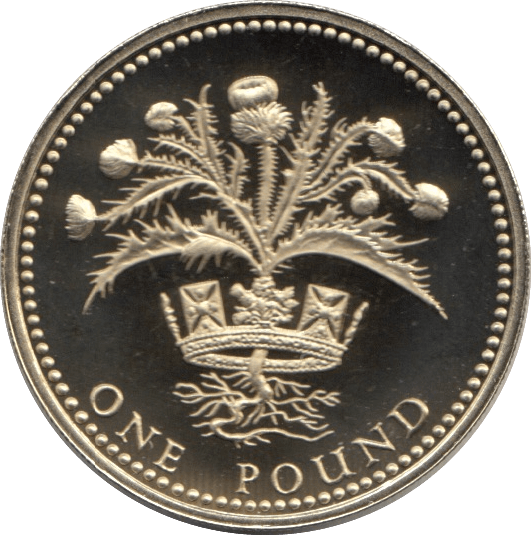 1989 ONE POUND PROOF £1 SCOTTISH THISTLE - £1 Proof - Cambridgeshire Coins