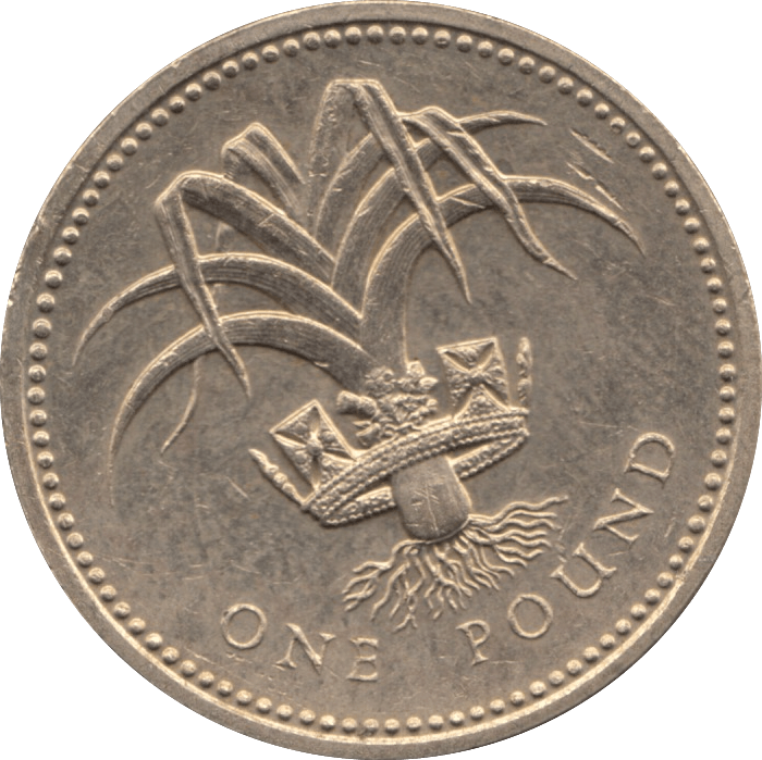 1990 CIRCULATED £1 Welsh Leek - £1 CIRCULATED - Cambridgeshire Coins