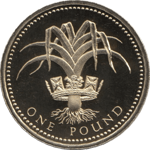 1990 ONE POUND PROOF £1 WELSH LEEK - £1 Proof - Cambridgeshire Coins