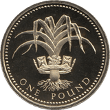 1990 ONE POUND PROOF £1 WELSH LEEK - £1 Proof - Cambridgeshire Coins