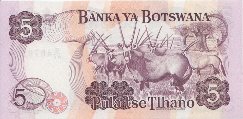 1992 5 PULA BANKNOTE BOTSWANA REF 595 - World Banknotes - Cambridgeshire Coins