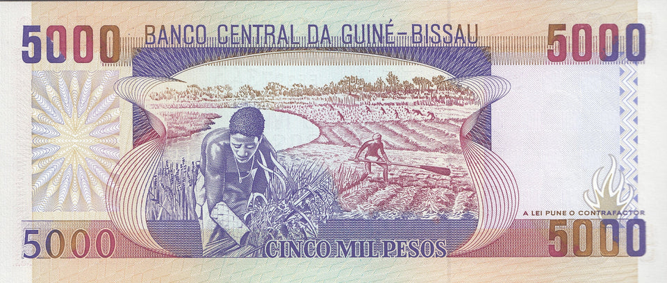 1993 5000 PESO BANKNOTE GUINEA BISSAU REF 1112 - World Banknotes - Cambridgeshire Coins