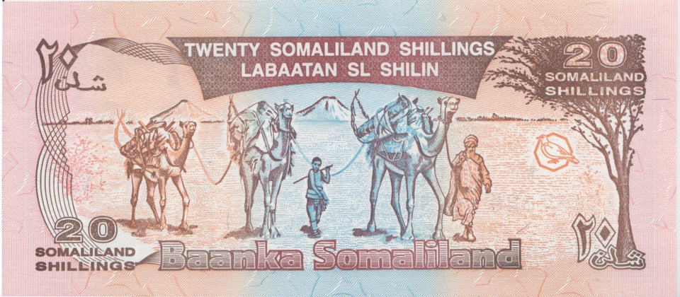 1994 5 10 20 50 SHILLINGS SET BANKNOTE SOMALILAND REF 966 - World Banknotes - Cambridgeshire Coins