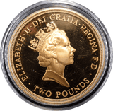 1995 Gold Proof £2 United Nations Peace Coin BOX COA Double Sovereign - Gold Proof £2 - Cambridgeshire Coins