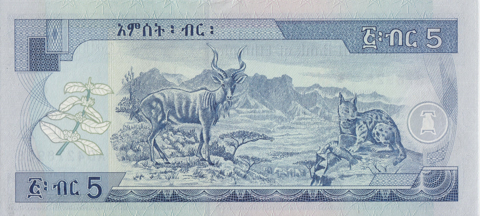 1997 5 BIRR BANKNOTE ETHIOPIA REF 709 - World Banknotes - Cambridgeshire Coins