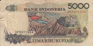 2001 5000 RUPIAH INDONESIAN BANKNOTE INDONESIA REF 822 - World Banknotes - Cambridgeshire Coins