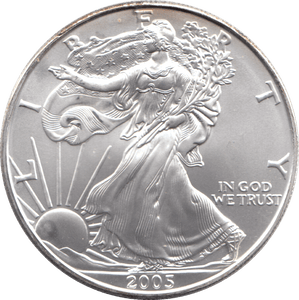 2005 AMERICAN EAGLE SILVER DOLLAR USA - SILVER WORLD COINS - Cambridgeshire Coins