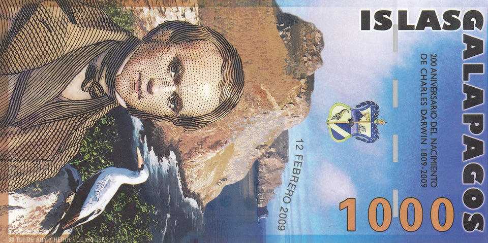 2009 1000 SUCRES BANKNOTE GALAPAGOS ISLAND REF 1149 - World Banknotes - Cambridgeshire Coins