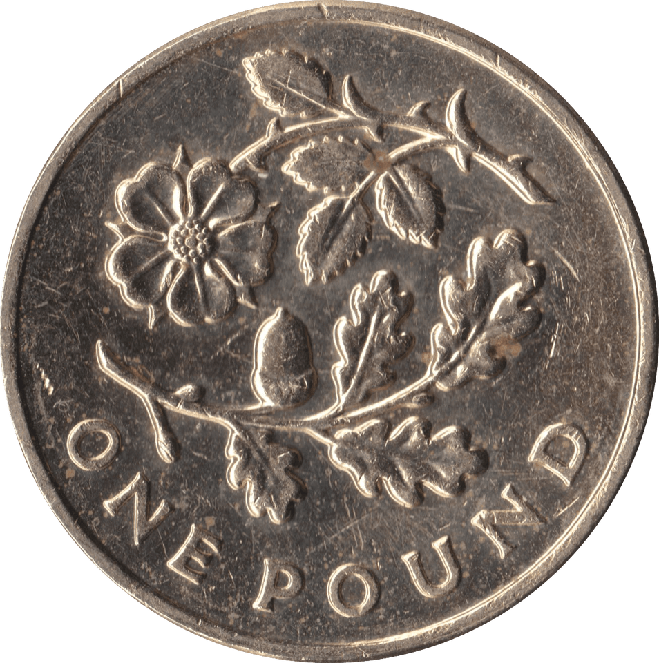 2013 CIRCULATED £1 Floral Rose - £1 CIRCULATED - Cambridgeshire Coins