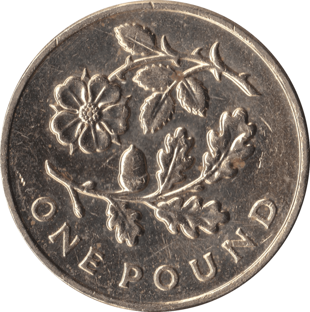 2013 CIRCULATED £1 Floral Rose - £1 CIRCULATED - Cambridgeshire Coins