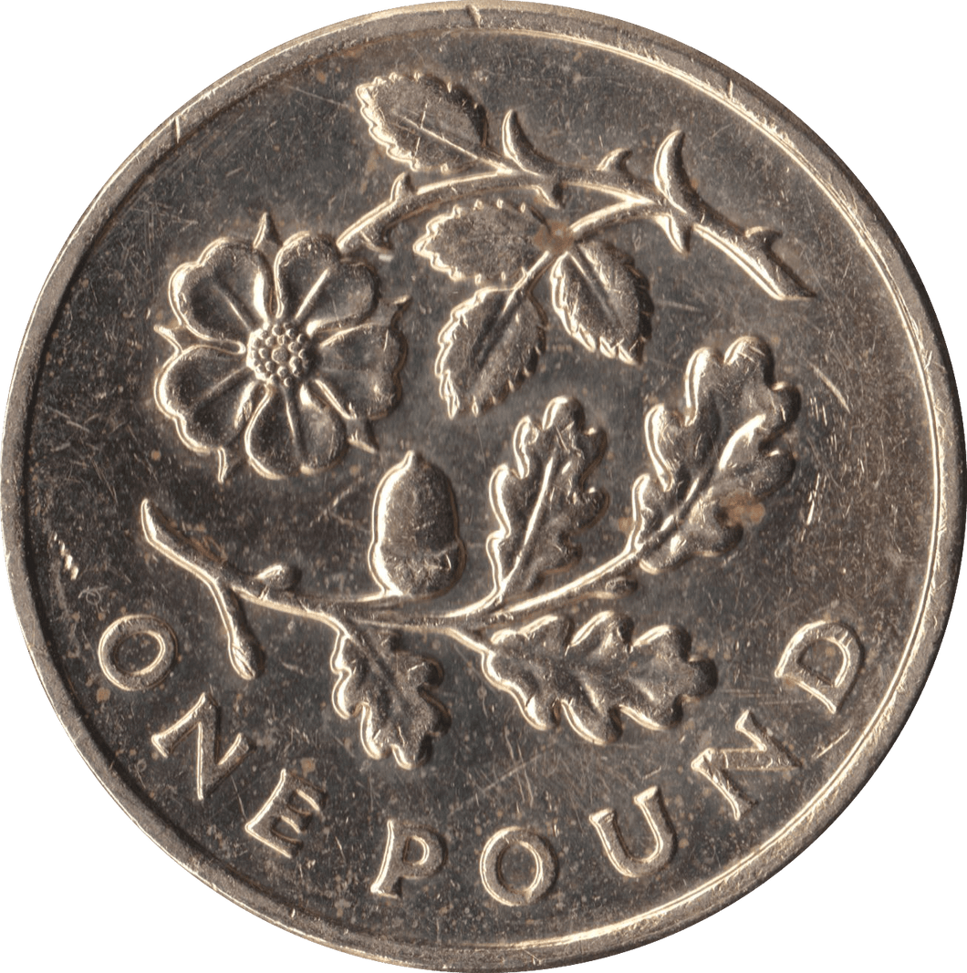 2013 CIRCULATED £1 Floral Rose - £1 CIRCULATED - Cambridgeshire Coins