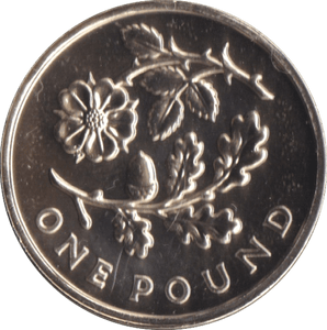 2013 ONE POUND £1 ENGLAND BRILLIANT UNCIRCULATED BU - £1 BU - Cambridgeshire Coins