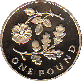 2013 ONE POUND PROOF FLORAL ENGLAND - £1 Proof - Cambridgeshire Coins