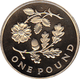 2013 ONE POUND PROOF FLORAL ENGLAND - £1 Proof - Cambridgeshire Coins