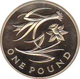 2013 ONE POUND PROOF FLORAL WALES - £1 Proof - Cambridgeshire Coins