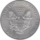 2013 SILVER LIBERTY DOLLAR USA - SILVER WORLD COINS - Cambridgeshire Coins