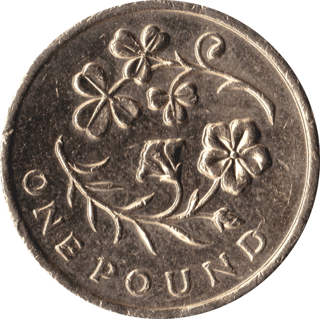 2014 CIRCULATED £1 Floral Clover - £1 CIRCULATED - Cambridgeshire Coins