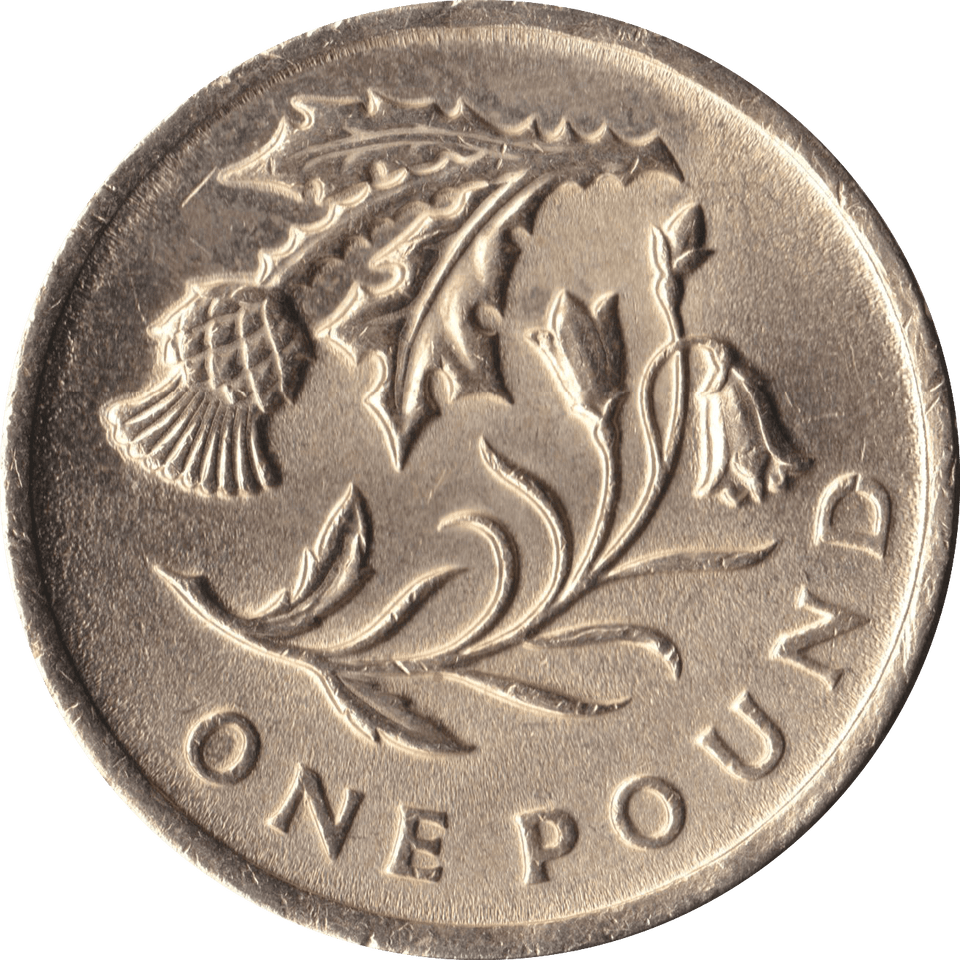 2014 CIRCULATED £1 Floral Thistle - £1 CIRCULATED - Cambridgeshire Coins