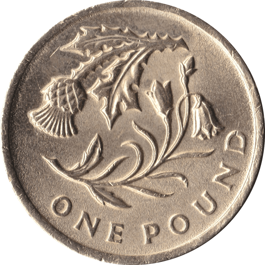 2014 CIRCULATED £1 Floral Thistle - £1 CIRCULATED - Cambridgeshire Coins