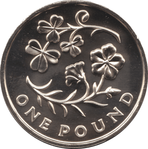 2014 ONE POUND £1 NORTHERN IRELAND BRILLIANT UNCIRCULATED BU - £1 BU - Cambridgeshire Coins
