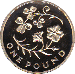 2014 ONE POUND PROOF FLORAL NORTHAN IRELAND - £1 Proof - Cambridgeshire Coins