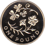 2014 ONE POUND PROOF FLORAL NORTHAN IRELAND - £1 Proof - Cambridgeshire Coins