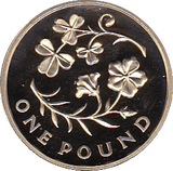 2014 ONE POUND PROOF FLORAL NORTHAN IRELAND - £1 Proof - Cambridgeshire Coins