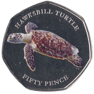 2019 HAWKSBILL TURTLE FIFTY PENCE INDIAN OCEAN - SILVER WORLD COINS - Cambridgeshire Coins