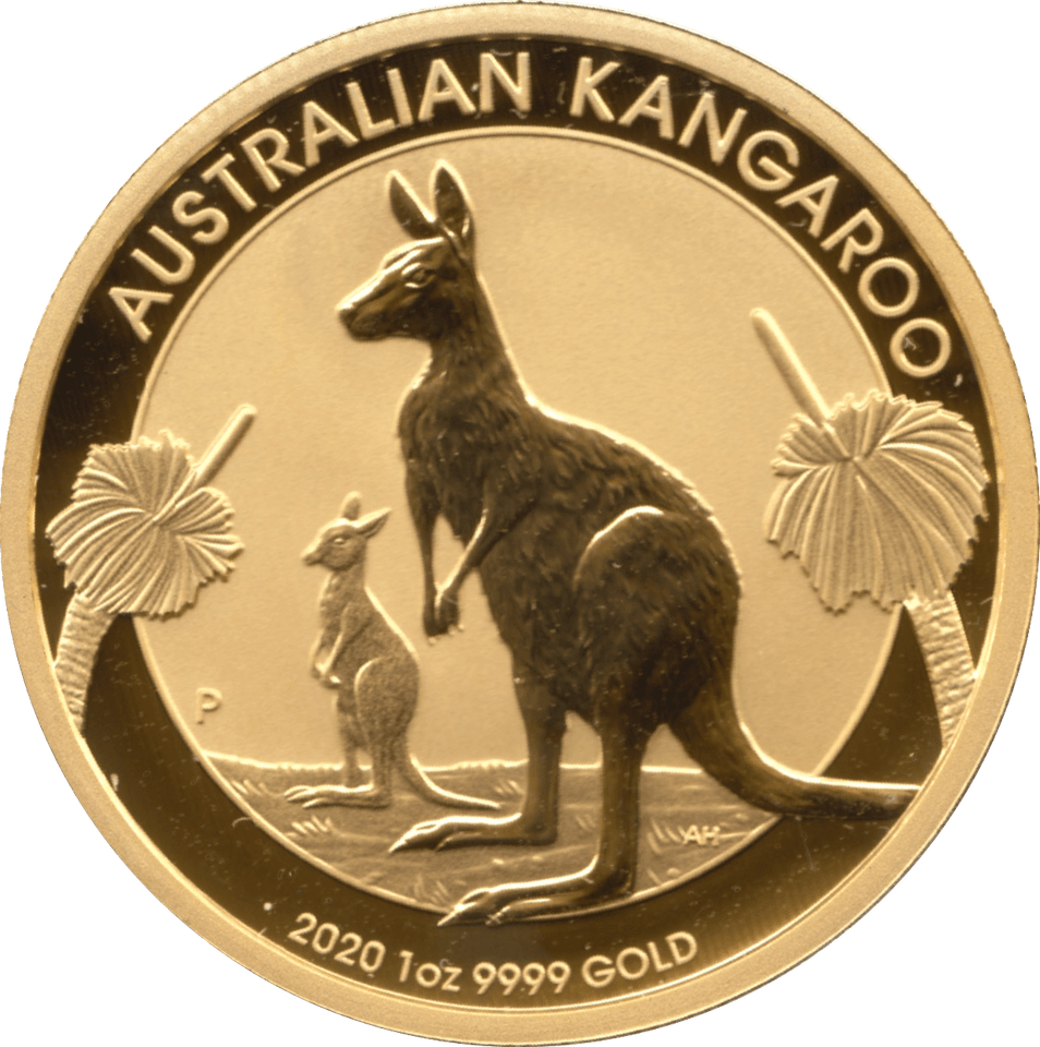 2020 GOLD ONE OUNCE $100 ONE HUNDRED DOLLAR KANGAROO PROOF AUSTRALIA - Gold World Coins - Cambridgeshire Coins