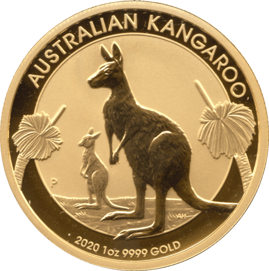 2020 GOLD ONE OUNCE $100 ONE HUNDRED DOLLAR KANGAROO PROOF AUSTRALIA - Gold World Coins - Cambridgeshire Coins