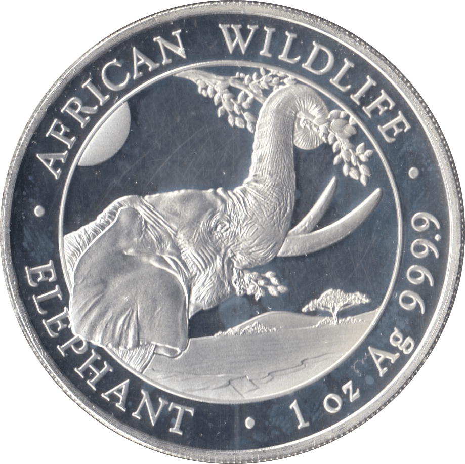 2023 SILVER PROOF 100 SHILLINGS AFRICA WILDLIFE ELEPHANT SOMALIA - SILVER WORLD COINS - Cambridgeshire Coins