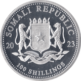 2023 SILVER PROOF 100 SHILLINGS AFRICA WILDLIFE LEOPARD SOMALIA - SILVER WORLD COINS - Cambridgeshire Coins
