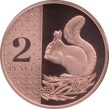 2023 TWO PENCE PROOF KING CHARLES - 2p Proof - Cambridgeshire Coins