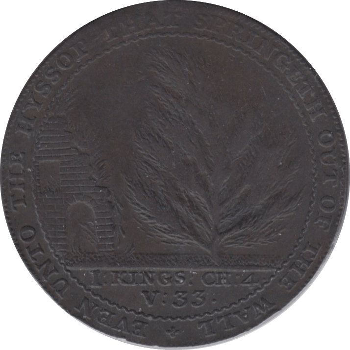 1794 HALFPENNY TOKEN SOMERSET BATH CEDAR TREE PLAIN DH26 ( VF ) ( REF 150 )