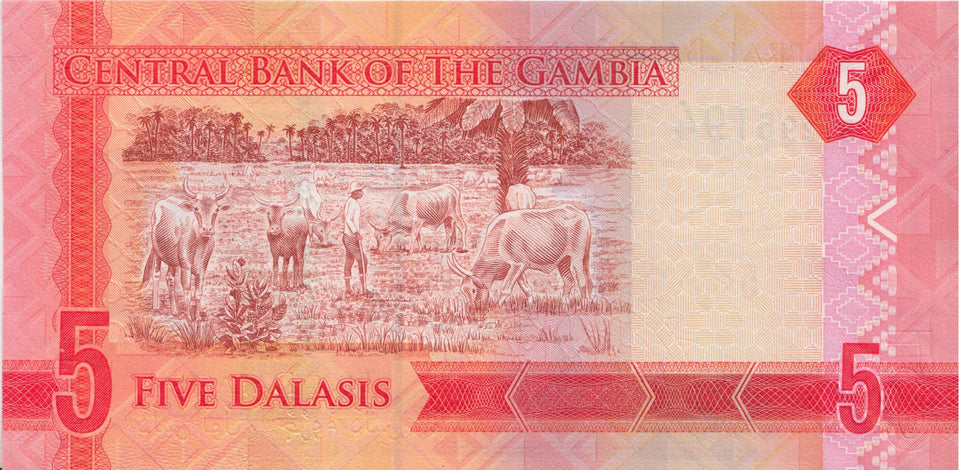 BANK OF GAMBIA FIVE DALASIS BANKNOTE REF 1511 - World Banknotes - Cambridgeshire Coins