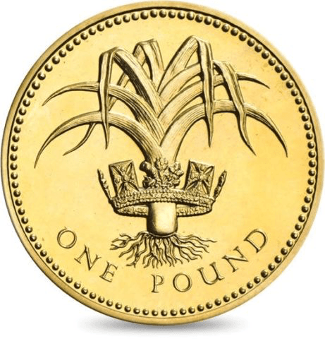 Brilliant Uncirculated £1 Coin Presentation Pack Wales 1985 - £1 BU PACK - Cambridgeshire Coins
